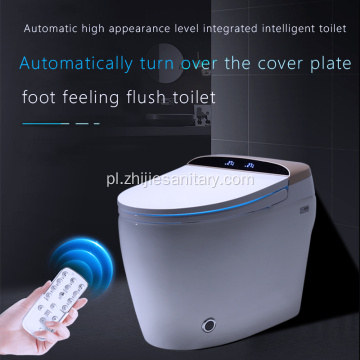 nowoczesny Wyposażony w inteligentną toaletę